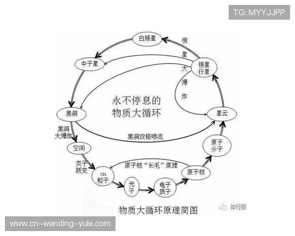 运动表现背后的科学密码:基于数据解析的技术优化策略 运动表现背后的科学密码:基于数据解析的技术优化策略